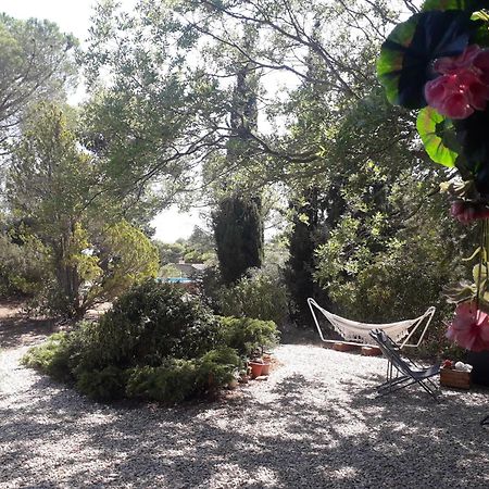 Chalet Les Cigalines Au Calme Fabrezan Εξωτερικό φωτογραφία